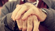 المهارات الحياتية لدى الكبار صورة مقال المهارات الحياتية لدى الكبار