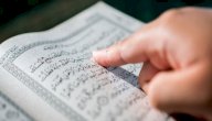 مواضع ذكر الغيرة في القرآن صورة مقال مواضع ذكر الغيرة في القرآن