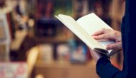 نبذة عن رواية الزوج الأبدي صورة مقال نبذة عن رواية الزوج الأبدي
