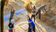 تعريف البيدر صورة مقال تعريف البيدر