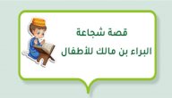 قصة شجاعة البراء بن مالك للأطفال صورة مقال قصة شجاعة البراء بن مالك للأطفال