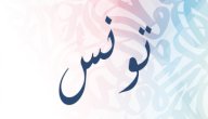 معنى اسم تونس صورة مقال معنى اسم تونس