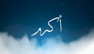 معنى اسم أكرم في المنام صورة مقال معنى اسم أكرم في المنام