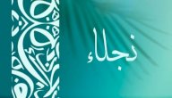 صورة مقال تفسير اسم نجلاء في المنام
