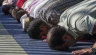 كيفية التخلص من السهو وعدم التركيز في الصلاة صورة مقال كيفية التخلص من السهو وعدم التركيز في الصلاة