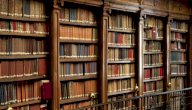 كتب تتحدث عن زكاة الفطر وأحكامها صورة مقال كتب تتحدث عن زكاة الفطر وأحكامها
