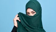 تفسير حلم تغطية الوجه بالطرحة في المنام صورة مقال تفسير حلم تغطية الوجه بالطرحة في المنام