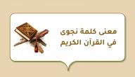 معنى كلمة نجوى في القرآن الكريم صورة مقال معنى كلمة نجوى في القرآن الكريم