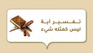 تفسير آية ليس كمثله شيء صورة مقال تفسير آية ليس كمثله شيء