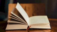 نبذة عن رواية مقتل بائع الكتب صورة مقال نبذة عن رواية مقتل بائع الكتب