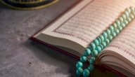 أحكام التجويد في سورة الممتحنة صورة مقال أحكام التجويد في سورة الممتحنة