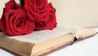 نبذة عن رواية أنا عشقت صورة مقال نبذة عن رواية أنا عشقت