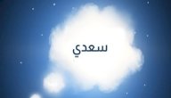 معنى اسم سعدي في المنام صورة مقال معنى اسم سعدي في المنام