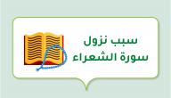 صورة مقال سبب نزول سورة الشعراء