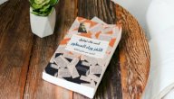 نبذة عن كتاب اللغز وراء السطور صورة مقال نبذة عن كتاب اللغز وراء السطور