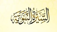 أهمية السيرة النبوية في فهم القرآن الكريم صورة مقال أهمية السيرة النبوية في فهم القرآن الكريم