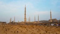 نجد والحجاز في العصر الأموي صورة مقال نجد والحجاز في العصر الأموي