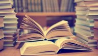 تلخيص كتاب مطرقة الساحرات صورة مقال تلخيص كتاب مطرقة الساحرات