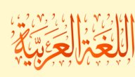 خصائص الكلمة في اللغة العربية صورة مقال خصائص الكلمة في اللغة العربية
