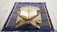 أعمال الرسول والصحابة في ليلة القدر صورة مقال أعمال الرسول والصحابة في ليلة القدر