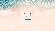صورة مقال معنى اسم لينا في المنام