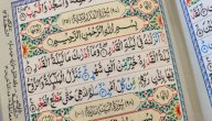 من الذين اختصهم الله تعالى برؤية ليلة القدر؟ صورة مقال من الذين اختصهم الله تعالى برؤية ليلة القدر؟