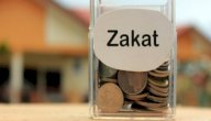 حكم إعطاء الأطفال من زكاة المال صورة مقال حكم إعطاء الأطفال من زكاة المال