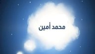 تفسير اسم محمد أمين في المنام صورة مقال تفسير اسم محمد أمين في المنام