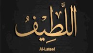 تفسير اسم الله اللطيف في المنام صورة مقال تفسير اسم الله اللطيف في المنام