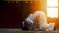 قصص عن فضل الصلاة في وقتها صورة مقال قصص عن فضل الصلاة في وقتها