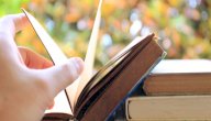 شرح قصيدة النابغة الذبياني يا دار مية صورة مقال شرح قصيدة النابغة الذبياني يا دار مية