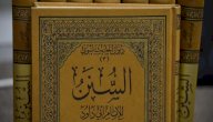 أفضل كتب شرح الحديث أفضل كتب شرح الحديث