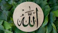 تفسير اسم الله الأعظم في المنام صورة مقال تفسير اسم الله الأعظم في المنام