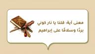 معنى آية: قلنا يا نار كوني بردًا وسلامًا على إبراهيم صورة مقال معنى آية: قلنا يا نار كوني بردًا وسلامًا على إبراهيم