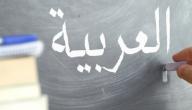 صورة مقال أبرز كتب تعليم اللغة العربية للمبتدئين