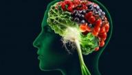 ما هو الغذاء الذي يقوي الذاكرة