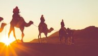 ما المقصود بحمر النعم صورة مقال ما المقصود بحمر النعم