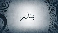 صورة مقال معنى اسم بندر
