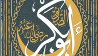 متى بدأت خلافة أبي بكر الصديق صورة مقال متى بدأت خلافة أبي بكر الصديق