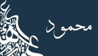 ما معنى اسم محمود صورة مقال ما معنى اسم محمود
