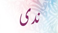 ما معنى اسم ندى ما معنى اسم ندى