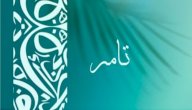 معنى اسم تامر صورة مقال معنى اسم تامر