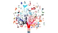ما هو مد التمكين صورة مقال ما هو مد التمكين