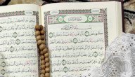 أين ولدت مريم العذراء صورة مقال أين ولدت مريم العذراء