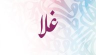 معنى اسم غلا صورة مقال معنى اسم غلا