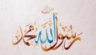 أهمية السيرة النبوية صورة مقال أهمية السيرة النبوية
