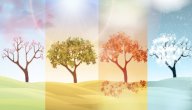 أهم خصائص الفصول الأربعة صورة مقال أهم خصائص الفصول الأربعة