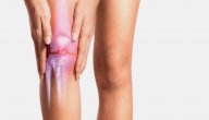 أهمية الغضاريف للعظام صورة مقال أهمية الغضاريف للعظام