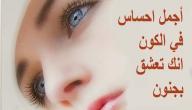 كلام في الحب والعشق والرومانسية صورة مقال كلام في الحب والعشق والرومانسية