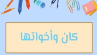 بحث عن كان وأخواتها صورة مقال بحث عن كان وأخواتها